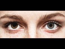 FreshLook ColorBlends Blue - без диоптър (2 лещи)