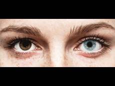 FreshLook Colors Blue - без диоптър (2 лещи)