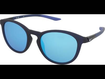 Nike Evolution M DZ7362 410